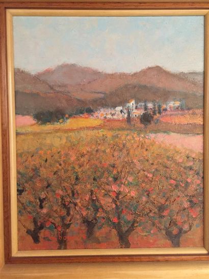 null André BOURRIE (Né en 1936) 
Vignes en Languedoc
Huile sur toile signée en bas...