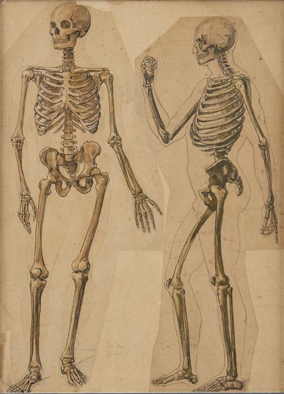 null Attribué à Jacques Fabien GAUTHIER - DAGOTY (1716 ? 1785)
Deux études de squelette
Deux...