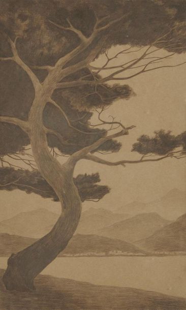 null Yokohama O'KIN (1880-1948) 
Paysage et Arbres tortueux 
Deux dessins au crayon,...