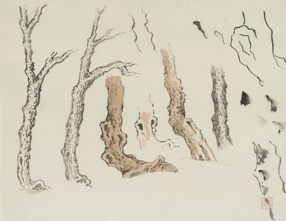 null Pu Quan(1913-1991)
Ensemble de 5 encres et couleurs sur papier.
- Étude d'arbres...