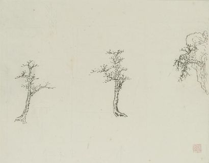 null Pu Quan(1913-1991)
Ensemble de 5 encres et couleurs sur papier.
- Étude d'arbres...