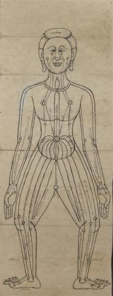 null THAILANDE - Début XXe siècle
Deux dessins sur papier du corps humains présentant...