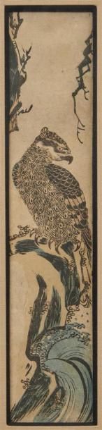null JAPON, vers 1900.
ESTAMPE polychrome figurant un rapace
33 x 7 cm à vue 
Sous...