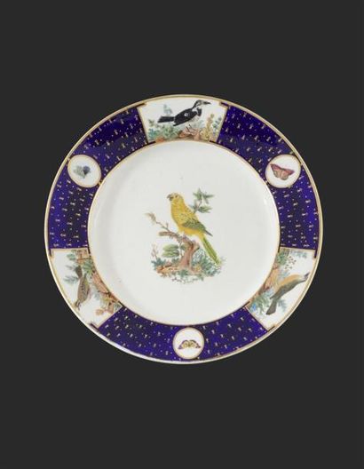 null TOURNAI
Assiette en porcelaine tendre du service du duc d'Orléans d'après l'Histoire...