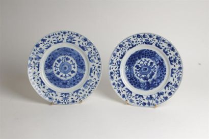 null CHINE
Deux assiettes en porcelaine à décor en bleu sous couverte d'une fleur...