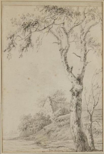 null Attribué à Pierre Henri de VALENCIENNES (1750 - 1819)
Paysage au grand arbre
Pierre...