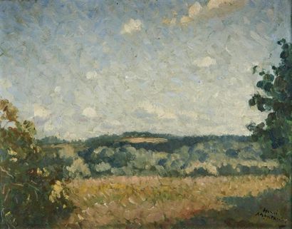 null Henri MONTASSIER (Courlon sur Yonne 1880 - Pairs 1946)
Paysage de prairie
Huile...