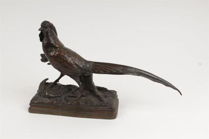 null D'après Alfred DUBUCAND (1828-1894)
Faisan doré 
Epreuve en bronze à patine...