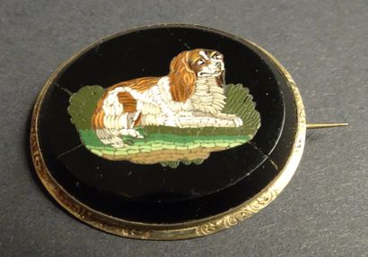 null Micro-mosaïque ovale représentant un chien cavalier king Charles couché, montée...