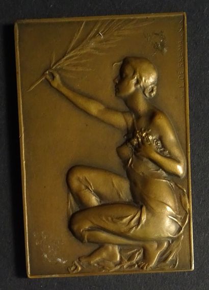 null Plaque en bronze représentante femme accroupie par le sculpteur Jean de Bre...