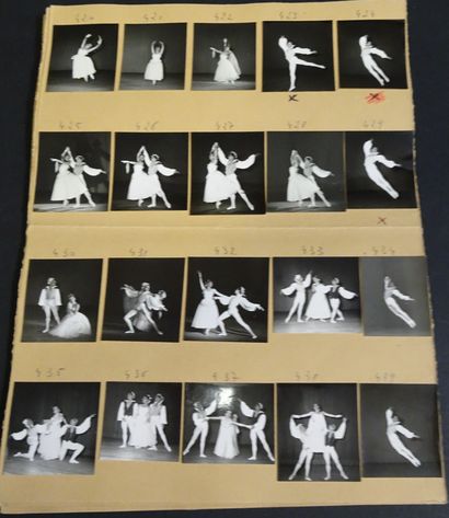 null BALLETS DES CHAMPS ELYSÉES. Ensemble de 313 photographies pour les ballets des...