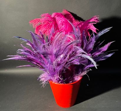 null 15 pink and purple plumes.