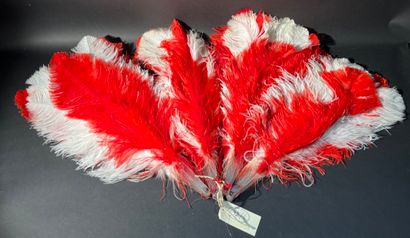 null 4 large fans with white and red ostrich feathers.
