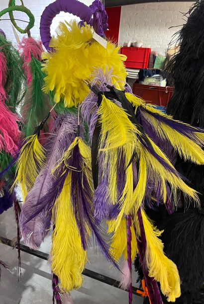 null Bib with various purple and yellow feathers.