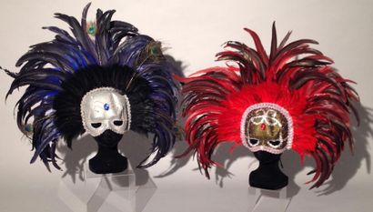 null Accessoires Music-Hall
 2 masques avec plumes.