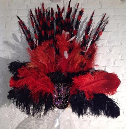 null Costumes Music-Hall
Dossard en plumes d'autruche rose.