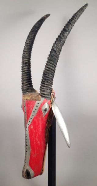 null Tête d’antilope (élément de marionnette géante) 

Bois peint en rouge, gris...