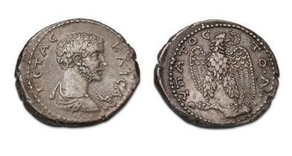 null GETA (198-212)
Tetradrachma. Antioch.
Her naked, draped bust on the right.
R/Eagle...