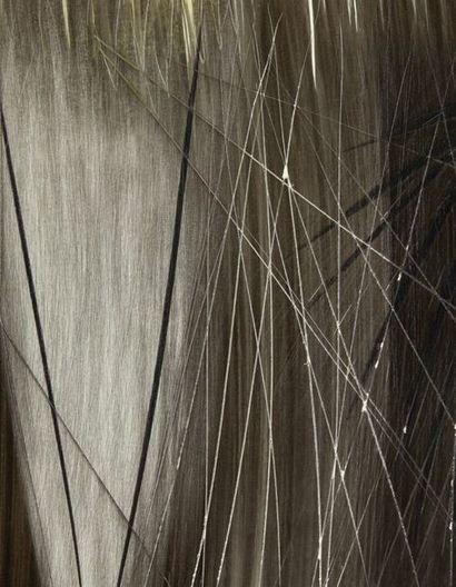 Hans HARTUNG (1904-1989) P1967-79, 1967
Encre, pastel et grattages sur carton baryté.
Signée...