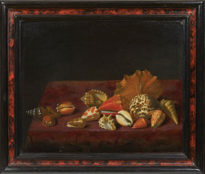 ATTRIBUÉ À BARTHOLOMEUS ASSTEYN (1607-1667) Nature morte de coquillages Deux huiles...