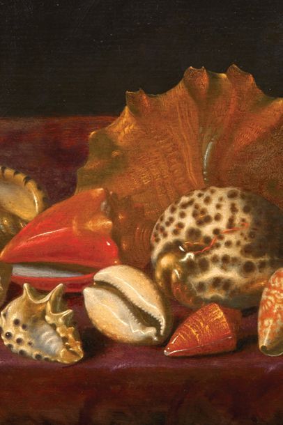 ATTRIBUÉ À BARTHOLOMEUS ASSTEYN (1607-1667) Nature morte de coquillages Deux huiles...