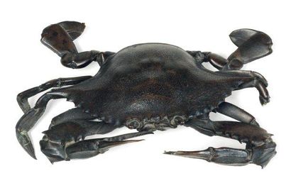 Crabe de taille réelle en bronze à patine...