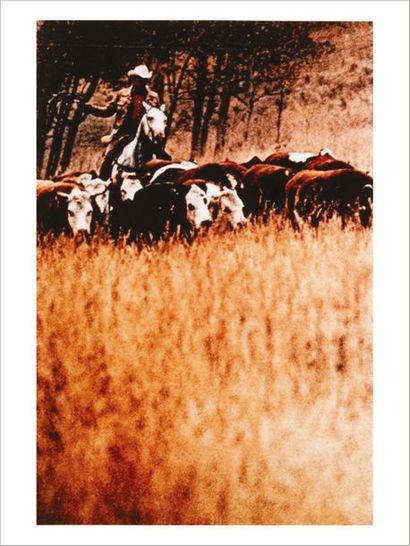 Richard PRINCE (né en 1949) 
Cowboy
Photographic colour print on Kodak paper.
Signed...