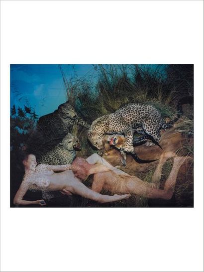 OLEG KULIG (NÉ EN 1961) 
Museum of Nature (New Paradise), Leopards, 2001
Colour photographic...