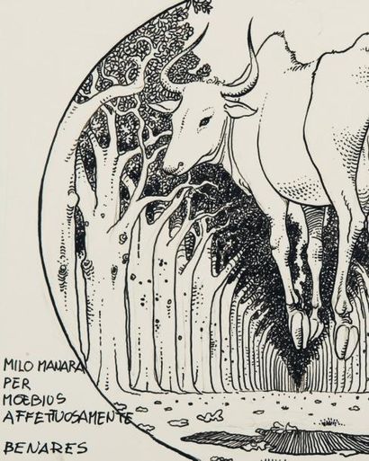 MILO MANARA (1945) Dedicato a Moebius, 1980 Crayon, encre de chine sur papier. H_21,5...