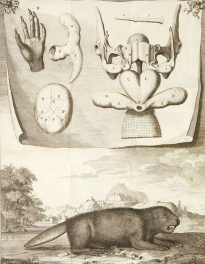 [PERRAULT (Claude)]. Description anatomique de divers animaux dissequez dans l'Académie...