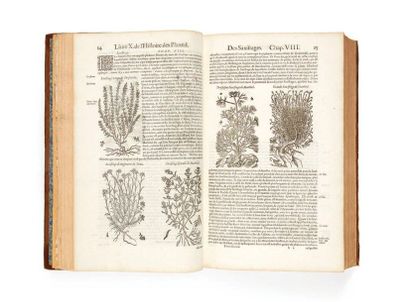 DALECHAMPS (Jacques). Histoire générale des plantes... faite française par Me Iean...