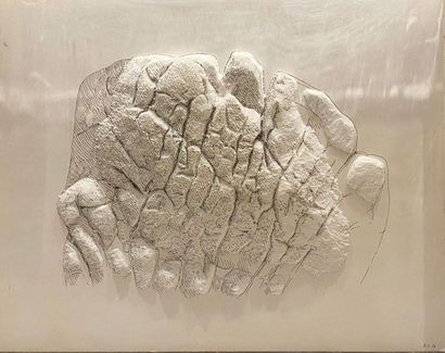 GÉRARD SINGER (NÉ EN 1929) Nature Drawing N°5, 1976 Drawing with ink and sculpted...