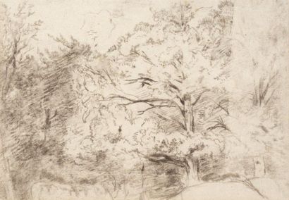 Théodore ROUSSEAU (1812-1867) Paysage Fusain sur papier. Charcoal on paper. H_21...