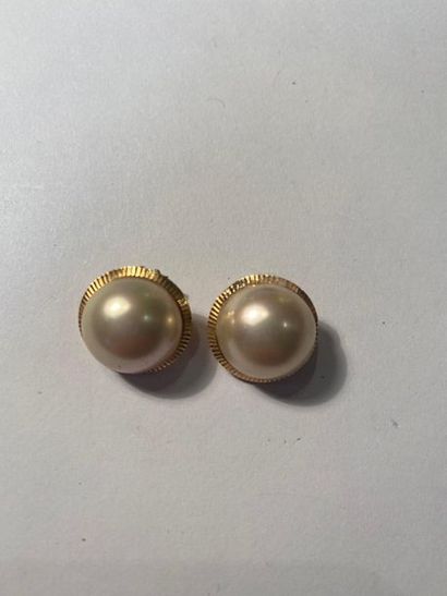 null Paire de clips d'oreille en or jaune 18K (750) chacune ornée d'une perle de...