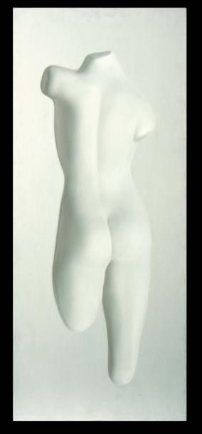 ROY ADZAK (1927-1988) Venus (Variation I A) Bois et plâtre peint. Signé et titré...
