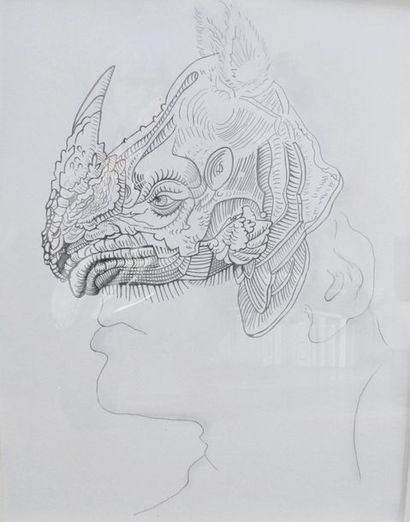 Dany Leriche Oiseau masque et Rhinocéros. Crayon sur papier. H_65 cm L_50 cm (ch...