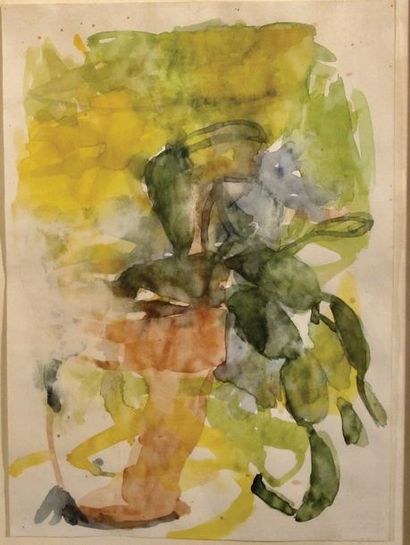 YVES OPPENHEIM (NÉ EN 1948) Plante verte. Peinture sur papier. H_40,5 cm L_30,5 cm...