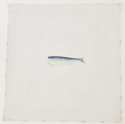 Anne Pesce (Née en 1963) Sardine N°9, 1989. Peinture sur toile. H_38 cm L_38 cm ...