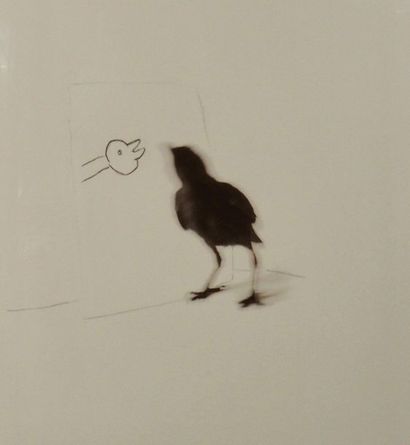 Valerie Egles Oiseau Miroir. Dessin sur papier. H_60,5 cm L_50 cm 