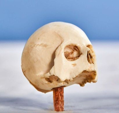 null Lot composed of three skulls:
- Carved ivory skull with venous network.
19th...