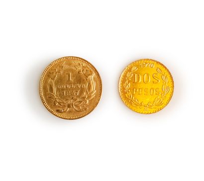 null Lot consisting of 1 gold 2 peso coin and 1 gold dollar coin (1857)

Total weight:...