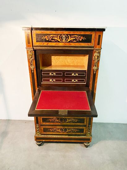 null Secretary in rosewood veneer, blackened wood, stained wood and burr elm, ormolu...