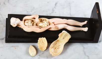 null Mannequin anatomique d'une femme enceinte en ivoire sculpté avec rehauts de...