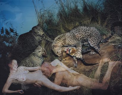 **OLEG KULIG (NÉ EN 1961) Museum of Nature (New Paradise), Leopards, 2001 Colour...