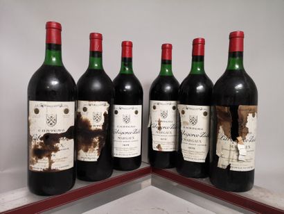 null 6 magnums Château LABEGORCE ZEDE - Margaux 1975
niveaux légèrement bas, étiquettes...