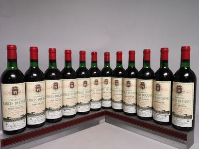 12 bouteilles Château LARCIS DUCASSE - St....