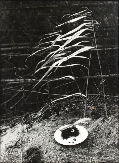 Emila MEDKOVÁ. Petit-déjeuner. Circa 1950.
Photographie originale, tirage argentique,...