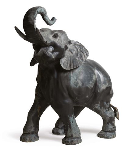 Elephant barking Bronze proof with black...