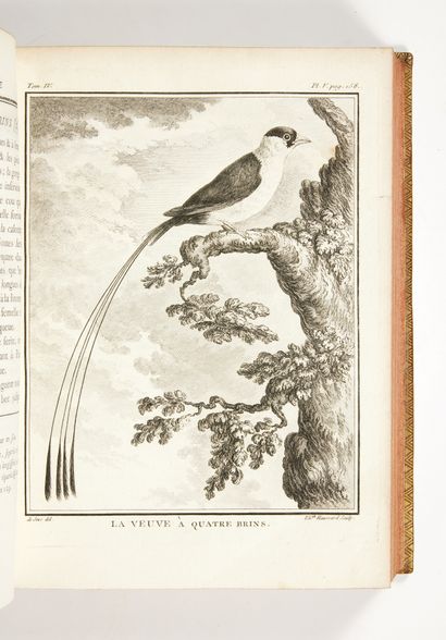 BUFFON, Georges-Louis Leclerc comte de Histoire naturelle, générale et particulière,...