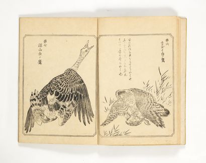 KYOSAI, Watanabe (ill.) Ehon Taka Kagami [Le Mirroir de Fauconnerie, en japonais]....